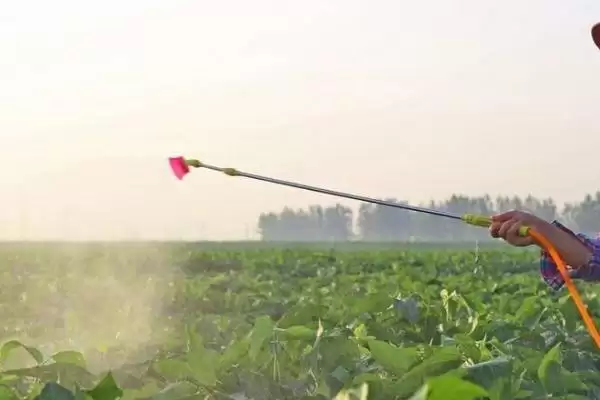 除草剂3打3不打指的是什么(除草剂3打3不打具体含义是什么呢)插图2