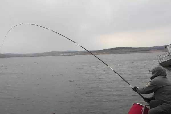 14号伊势尼钩的垂钓重量(14号伊势尼钩在正常垂钓时能承受多大的重量呢)插图2 14号伊势尼钩的垂钓重量(14号伊势尼钩在正常垂钓时能承受多大的重量呢)插图2