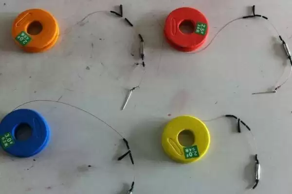 钓鲤鱼方法和技巧(有哪些钓鲤鱼的实用方法技巧)插图4