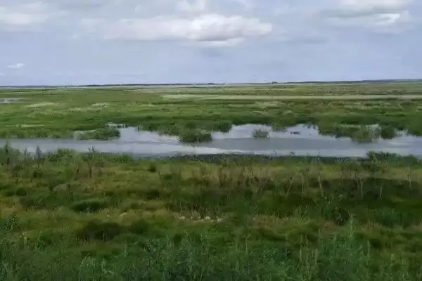 初夏钓鱼适宜时间(初夏钓鱼在什么时间合适呢)插图5
