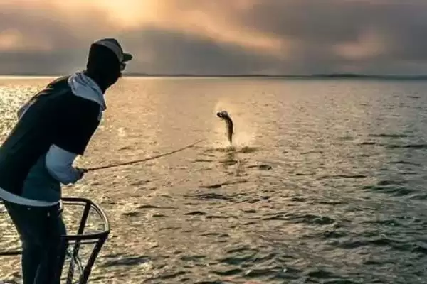 6月份钓鱼钓浅还是钓深(6月份在不同水域钓鱼选择钓浅还是钓深呢)插图1