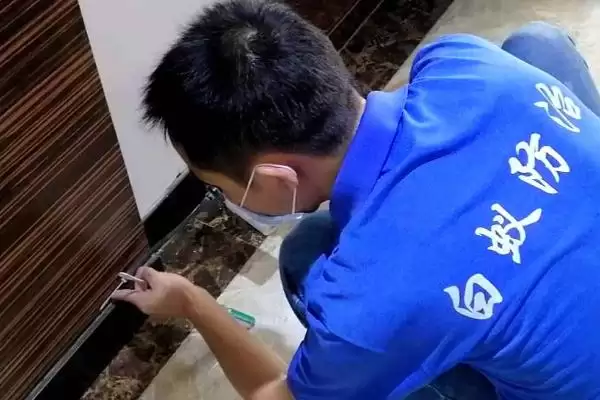 白蚁危害和防治(白蚁会造成哪些危害以及如何进行全方位防治)插图4