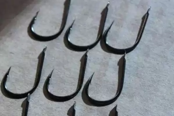 5号伊势尼适合钓鲫鱼吗(5号伊势尼钩在实际垂钓中是否适合用来钓鲫鱼呢)插图1 5号伊势尼适合钓鲫鱼吗(5号伊势尼钩在实际垂钓中是否适合用来钓鲫鱼呢)插图1