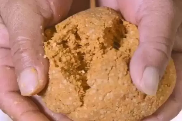 钓白条技巧(有哪些钓白条的实用技巧方法)插图2