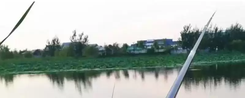 4.2米鱼竿用多长的线(4.2米鱼竿在不同钓法下适合搭配多长的线呢)-会东网