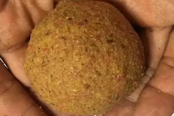 初夏怎么钓鱼(初夏钓鱼有哪些有效的方法呢)插图11