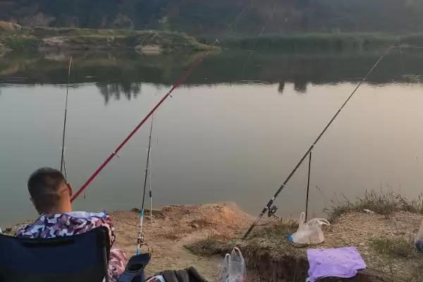 14号伊势尼钩的垂钓重量(14号伊势尼钩在正常垂钓时能承受多大的重量呢)插图5 14号伊势尼钩的垂钓重量(14号伊势尼钩在正常垂钓时能承受多大的重量呢)插图5