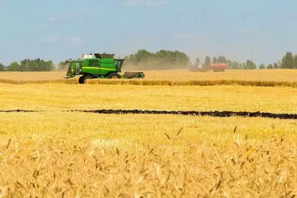 俄罗斯农业分布特点(俄罗斯农业分布有啥特点呢)插图3 俄罗斯农业分布特点(俄罗斯农业分布有啥特点呢)插图3