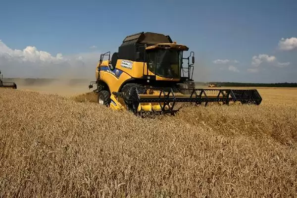 俄罗斯农业分布特点(俄罗斯农业分布有啥特点呢)插图2 俄罗斯农业分布特点(俄罗斯农业分布有啥特点呢)插图2