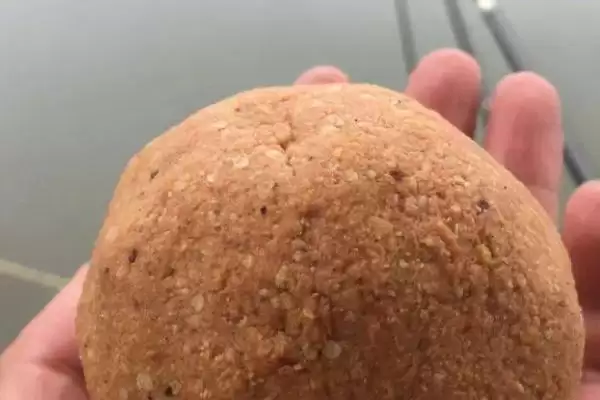 垂钓罗非鱼适合用什么饵(垂钓罗非鱼用什么饵料合适呢)插图2