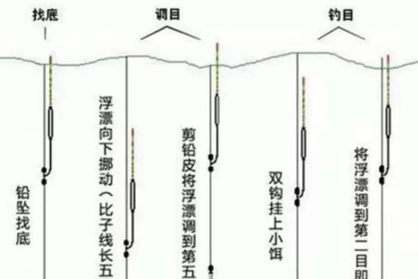 挂玉米粒钓鱼(挂玉米粒钓鱼有啥技巧和注意事项呢)插图2