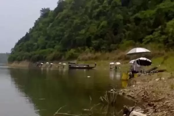 初夏钓鱼适宜时间(初夏钓鱼在什么时间合适呢)插图4