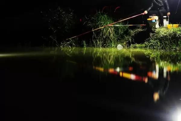 草鱼能否夜钓(草鱼在夜间是否适合垂钓呢)插图2