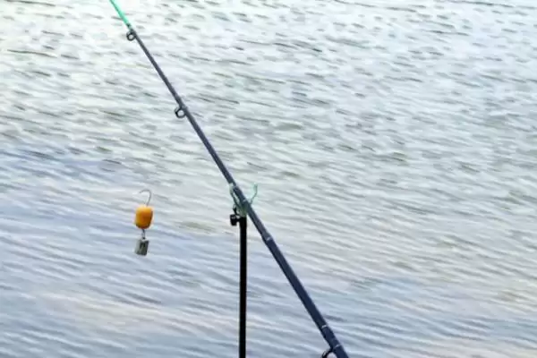 pe线被鱼察觉的原因(在垂钓过程中，pe线容易被鱼察觉的原因是什么)插图3