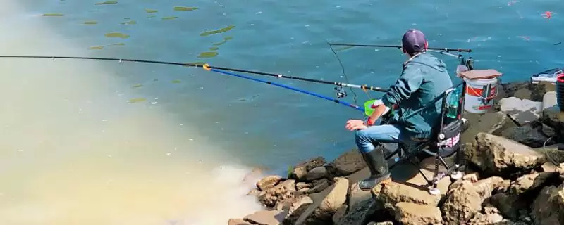 13米鱼竿推荐(市场上有哪些质量较好的13米鱼竿值得推荐呢)-会东网