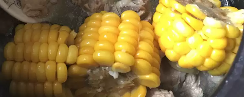 DC369玉米种中抗茎腐病的特性与优势分析插图 DC369玉米种中抗茎腐病的特性与优势分析插图