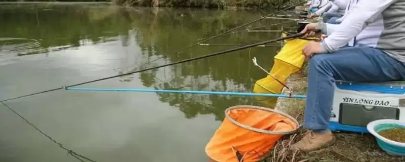11月份钓深还是钓浅(11月份在不同水域钓鱼选择钓深还是钓浅呢)-会东网
