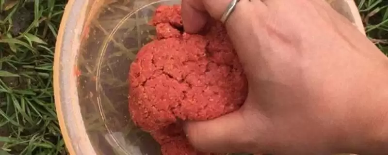 纯香型鱼饵1#鲫饵料介绍(纯香型鱼饵1#鲫饵料在成分、适用场景上如何介绍)-会东网