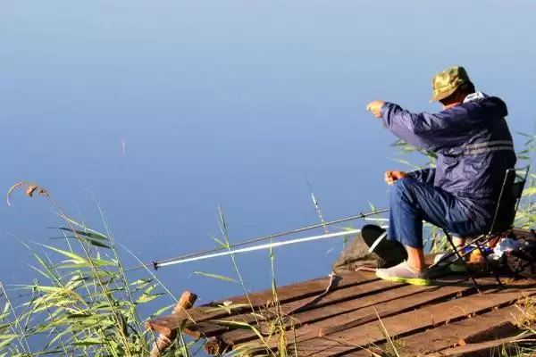 2号伊豆钩钓不超1斤鱼种要点(用2号伊豆钩钓1斤内鱼种需注意哪些关键要点)插图2 2号伊豆钩钓不超1斤鱼种要点(用2号伊豆钩钓1斤内鱼种需注意哪些关键要点)插图2