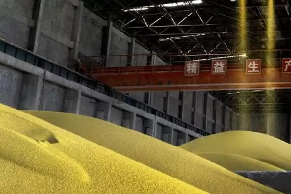 50强化肥品牌(50强化肥有中国农资等品牌其优势和市场表现如何)插图10 50强化肥品牌(50强化肥有中国农资等品牌其优势和市场表现如何)插图10