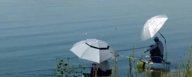 2.5号主线用多大吃铅浮漂(2.5号主线在不同水域该搭配多大吃铅浮漂呢)-会东网