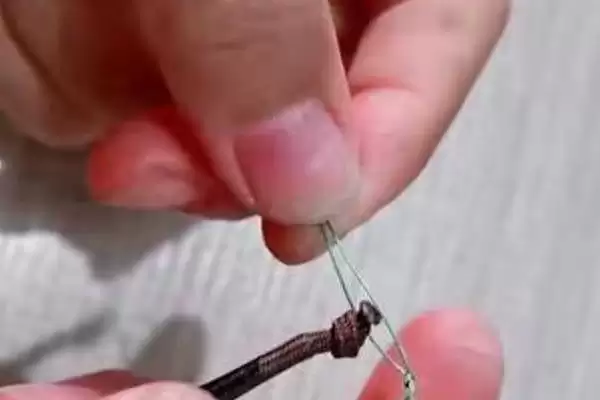 4.2米鱼竿用多长的线(4.2米鱼竿在不同钓法下适合搭配多长的线呢)插图3 4.2米鱼竿用多长的线(4.2米鱼竿在不同钓法下适合搭配多长的线呢)插图3