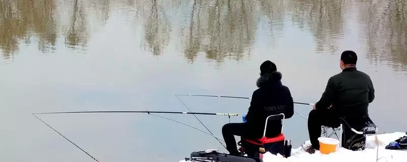 14米的鱼竿推荐(适合不同垂钓场景的14米鱼竿有哪些值得推荐呢)-会东网