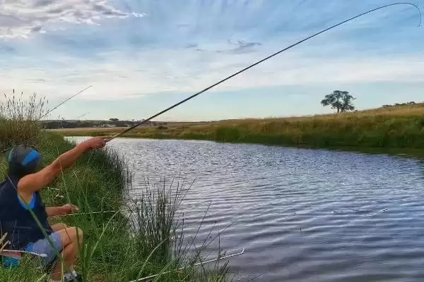 3月份刮什么风容易钓鱼(3月份刮不同风向的风对钓鱼有什么影响呢)插图1 3月份刮什么风容易钓鱼(3月份刮不同风向的风对钓鱼有什么影响呢)插图1