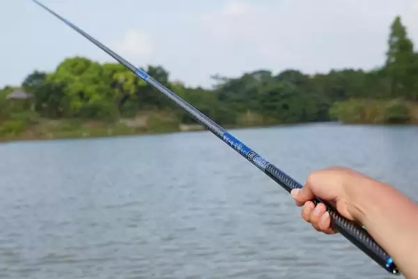 19调的鱼竿是几H(19调的鱼竿在硬度等级中相当于几H呢)插图2