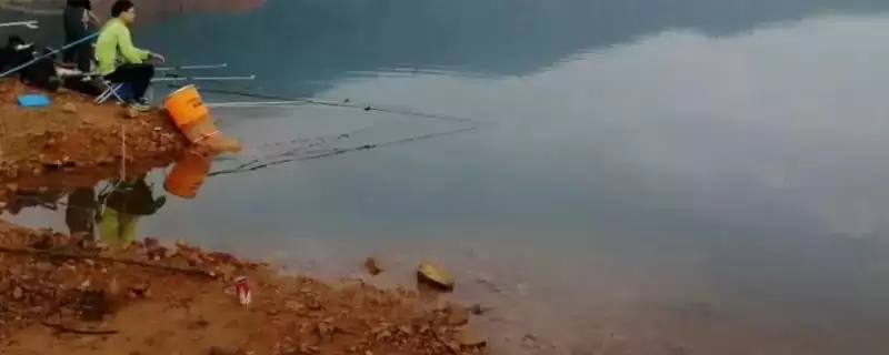 3-4月份为什么不钓鱼(3-4月份不适合钓鱼的具体原因是什么呢)-会东网