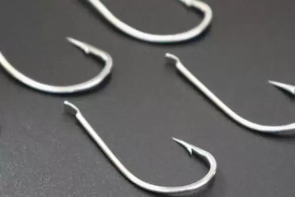 3号丸世钩适合钓不超3两鱼种指南(3号丸世钩钓3两内鱼种有什么实用指南)插图2