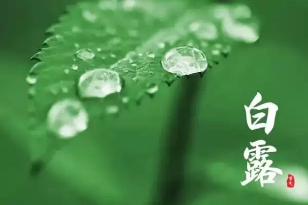 白露各地有趣的传统习俗 (白露时节各地都有哪些有趣的风俗习惯)插图7