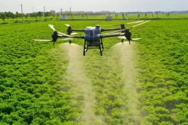 矮壮素与多效唑区别揭秘,矮壮素溶于水多效唑基本不溶原因插图5 矮壮素与多效唑区别揭秘,矮壮素溶于水多效唑基本不溶原因插图5