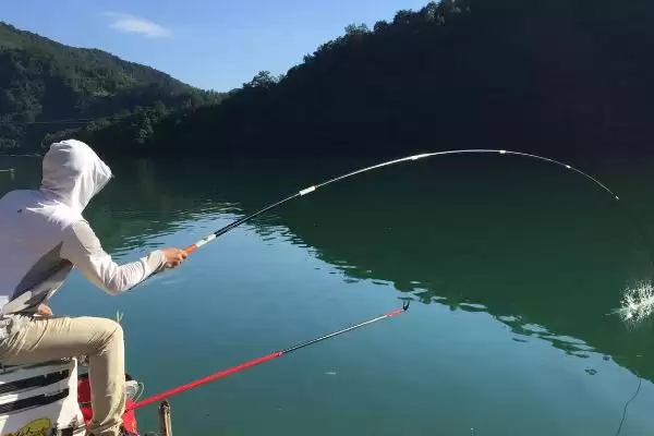 钓鲤鱼不开口原因(钓鲤鱼时鱼不开口是为啥)插图3