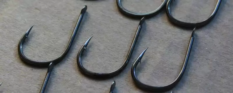 5号伊势尼适合钓鲫鱼吗(5号伊势尼钩在实际垂钓中是否适合用来钓鲫鱼呢)-会东网