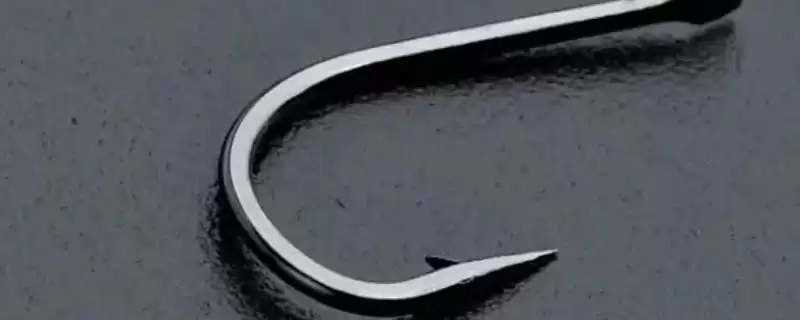 3号丸世钩能钓多大鱼(3号丸世钩在不同鱼情下能够钓多大的鱼呢)-会东网