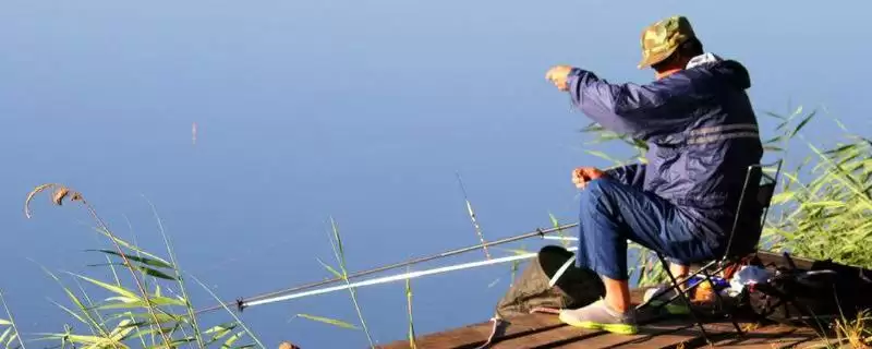 1号千又和6号伊势尼钩型相似之处(1号千又和6号伊势尼钩型在哪些方面有相似处)-会东网