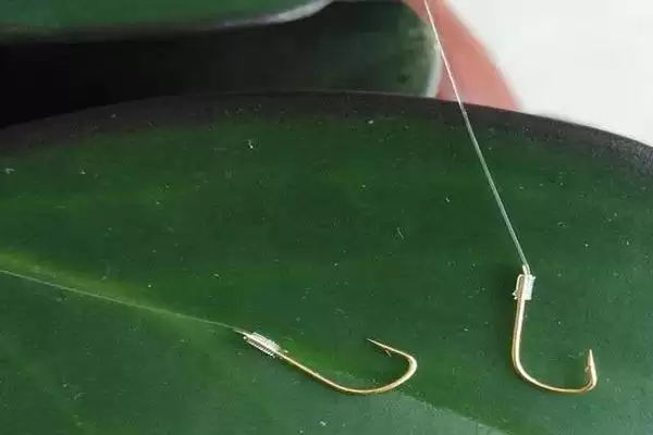 0.4号子线钓2两至半斤鱼知识(用0.4号子线钓2两至半斤鱼需要哪些知识)插图1 0.4号子线钓2两至半斤鱼知识(用0.4号子线钓2两至半斤鱼需要哪些知识)插图1