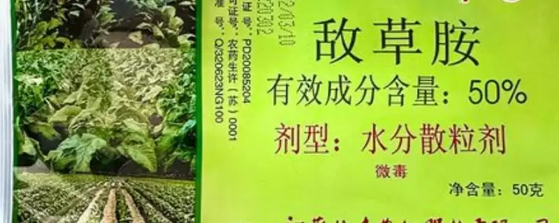 敌草胺适用作物(敌草胺适用于哪些农作物呢)-会东网
