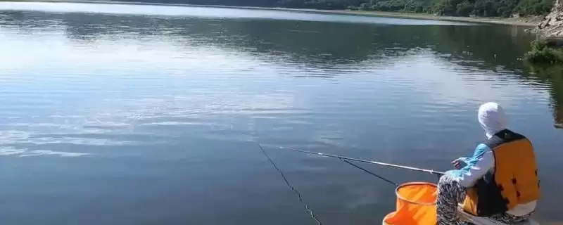 1.2号主线搭配1.0号子线是否合理(1.2号主线搭配1.0号子线的合理性分析)-会东网