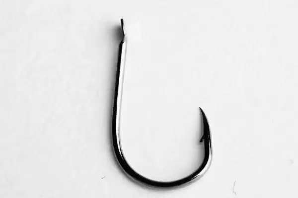 10号丸世钩是否适合钓黄辣丁(10号丸世钩在实际垂钓中是否适合钓黄辣丁呢)插图1