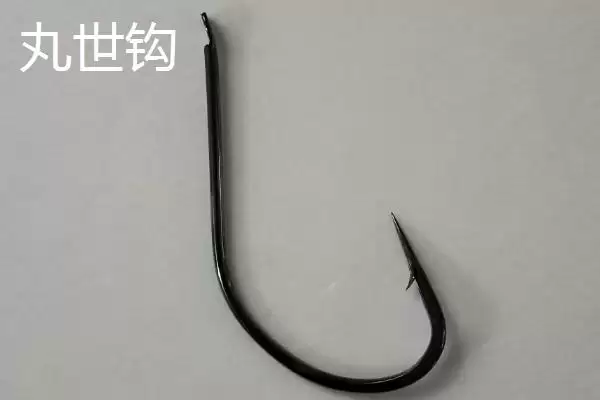 白狐钩和丸世钩怎么选(依据不同鱼情和垂钓习惯,白狐钩和丸世钩该如何挑选)插图2 白狐钩和丸世钩怎么选(依据不同鱼情和垂钓习惯,白狐钩和丸世钩该如何挑选)插图2