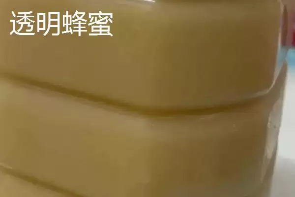 白色和透明蜂蜜特点(白色和透明蜂蜜在色泽、口感等方面有何特点)插图1 白色和透明蜂蜜特点(白色和透明蜂蜜在色泽、口感等方面有何特点)插图1