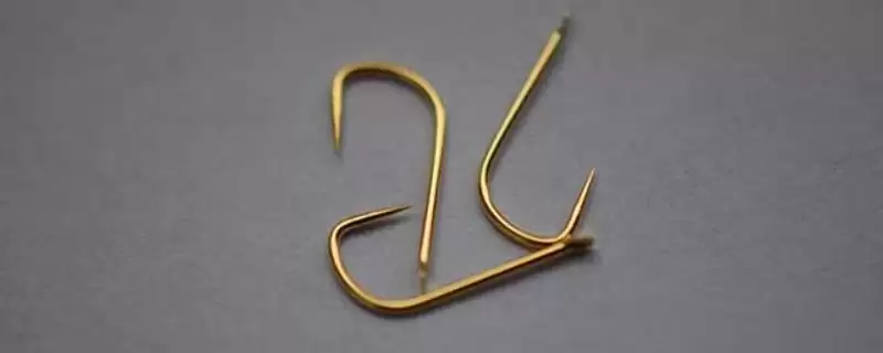 4号袖钩适用对象(4号袖钩在实际垂钓中主要适用于哪些鱼种呢)-会东网