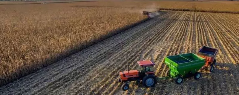 俄罗斯农业分布特点(俄罗斯农业分布有啥特点呢)-会东网