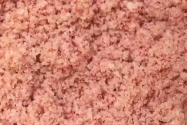 白条鱼吃蚯蚓，还有啥常见饵料和习性特点插图3