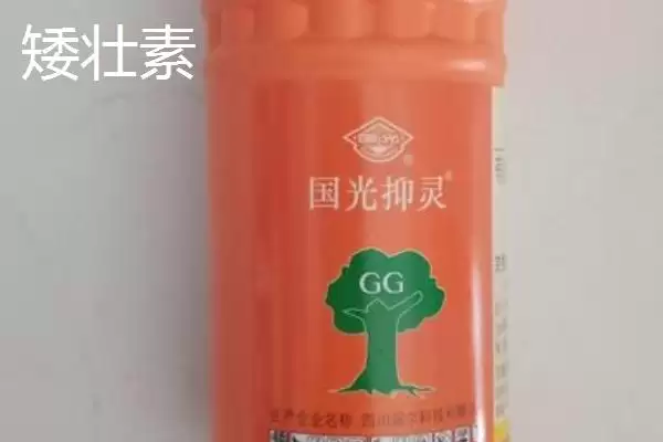 矮壮素与多效唑区别揭秘,矮壮素溶于水多效唑基本不溶原因插图1 矮壮素与多效唑区别揭秘,矮壮素溶于水多效唑基本不溶原因插图1