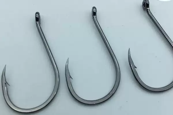 7号千又鱼钩能钓多大的鱼(7号千又鱼钩在不同鱼情下能钓多大重量的鱼呢)插图3 7号千又鱼钩能钓多大的鱼(7号千又鱼钩在不同鱼情下能钓多大重量的鱼呢)插图3