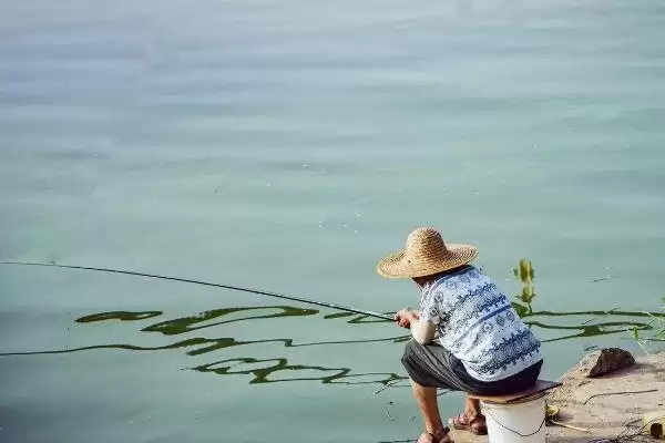 1.5线组钓3-6斤重鱼攻略(1.5线组钓3-6斤重鱼有哪些全面实用的攻略)插图7