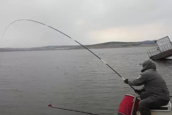 1.5线组钓3-6斤重鱼攻略(1.5线组钓3-6斤重鱼有哪些全面实用的攻略)插图8